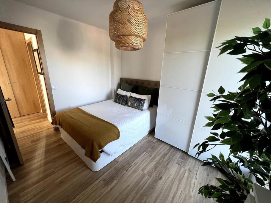 דירות Penthouse Terraco De קוימברה מראה חיצוני תמונה